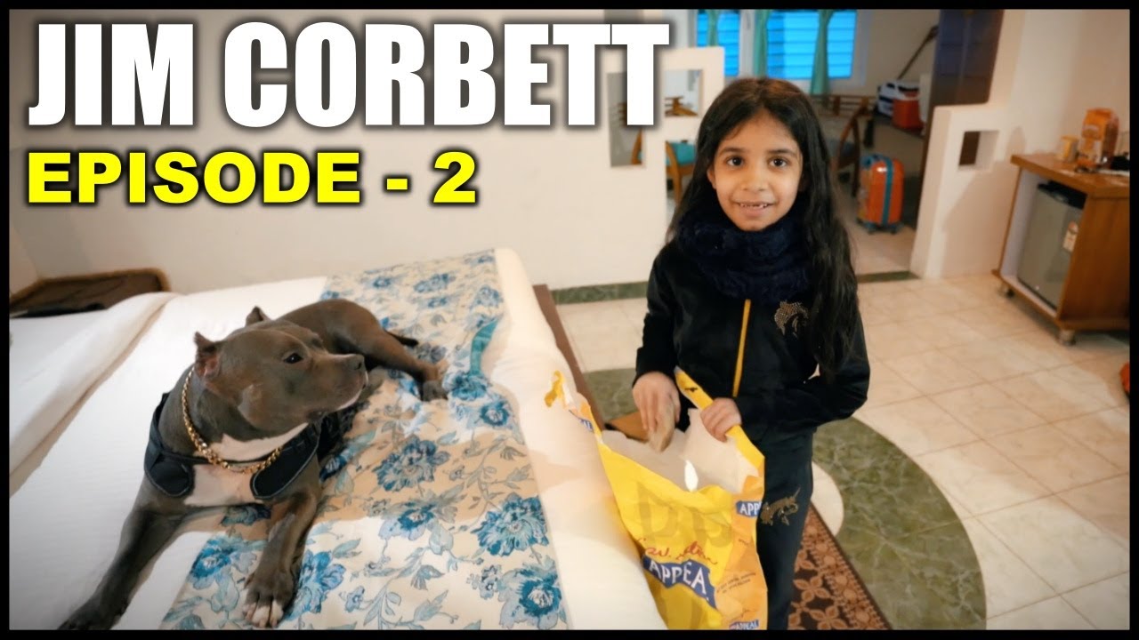 Brody ne Bed pe Kabza Kar Liya 😁 Episode 2 | Jim Corbett  | Harpreet SDC