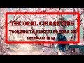 The Oral Cigarettes - Toorisugita Kisetsu No Sora de 「 通り過ぎた季節の空で」 / (Legendado PT BR)