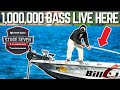 Fishing the #1 River In The WORLD (St Lawrence River Day 1)