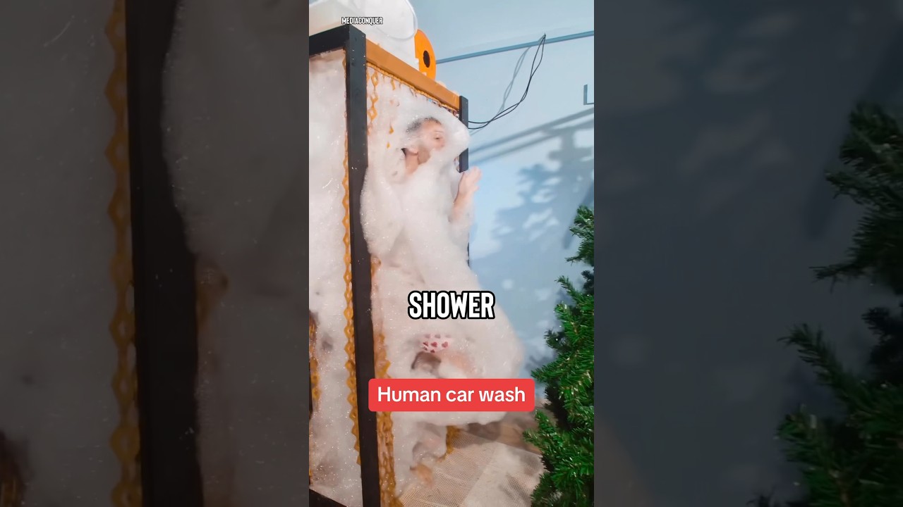 Latest Title & Thumbnail