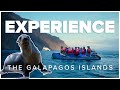 Experience the galapagos islands