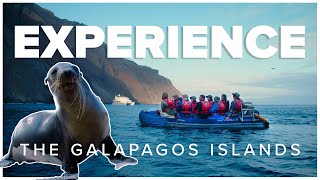 Experience the Galapagos Islands by Natural Habitat Adventures 979 views 11 months ago 1 minute, 46 seconds