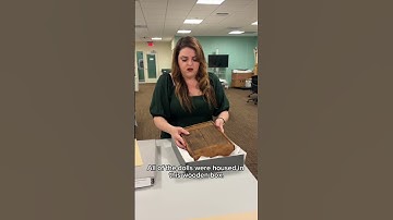 Archivist Day in the Life