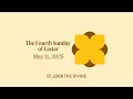 The Fourth Sunday of Easter - 11 May 2025