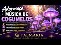 🍄💜 MÚSICA DE COGUMELOS PARA UM SONO PROFUNDO I DESCANSO REPARADOR I RELAXAMENTO MUSCULAR 💜🍄