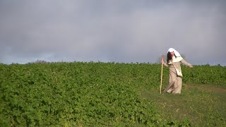 New Catholic Film Release - Trailer