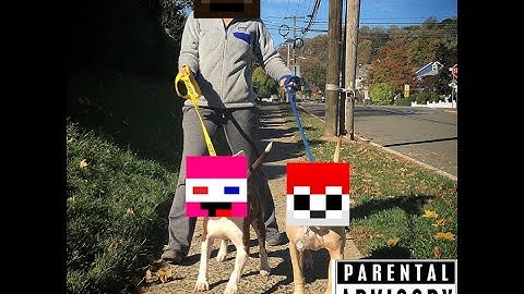 Hypixel The Pit - The Downfall of XRP.