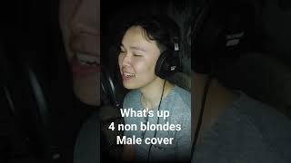 What's Up - 4 Non Blondes (Male Cover)