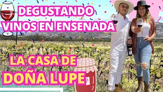 Descubre los Sabores Únicos del Viñedo Doña Lupe en Valle de Guadalupe  Ensenada Baja California