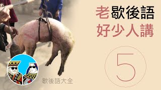 好少人講嘅 廣東話 歇後語 ｜閒聊之王-歇後語(大全)第五集 (廣東話文化傳承) 粵語繁體中字 screenshot 5