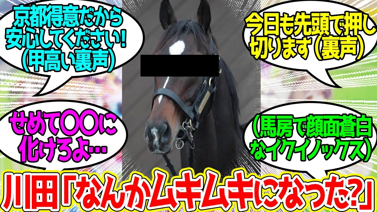 「どうもカムニャックです」（裏声）に対するみんなの反応！【競馬 の反応集】