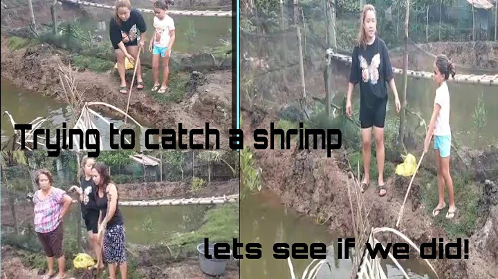 HOW TO CATCH A SHRIMP IN POND /Marivic Lalumiere