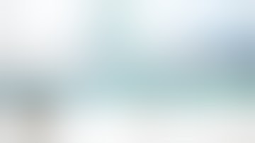 ERCP and stone extraction by Nageshwar Reddy and Horst Neuhaus