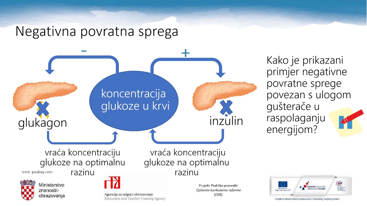 Biologija 3. r. SŠ - Regulacija i održavanje homeostaze - endokrini sustav
