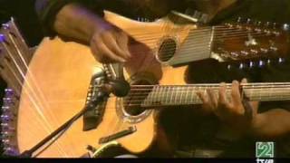 Pat Metheny Pikasso 42-string guitar chords
