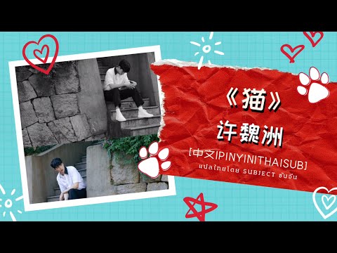 [中文|PINYIN|THAISUB] 《猫》- 许魏洲 | เพลงจีนแปลไทย