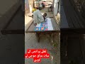 Thlay Prank Joji Comedy Comedyfilms Vewis Shortvideo Verall 