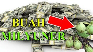 BUAH MILYUNER