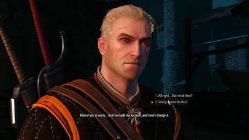 The Witcher 3 - Count Reuven