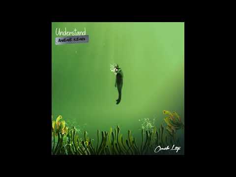 Omah Lay - Understand (AMÉMÉ Remix) [Official Audio]