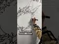 漫画がどんどん大きくなってしまった人９【物理】