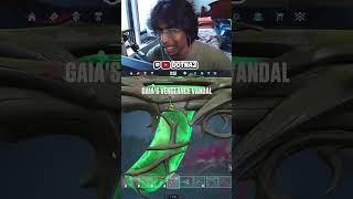 the best buddy for this vandal skin in valorant