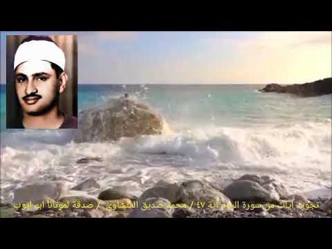 ولقد أرسلنا من قبلك رسلا إلى قومهم فجآءوهم بالبينات سورة الروم آية ٤٧ المنشاوي 