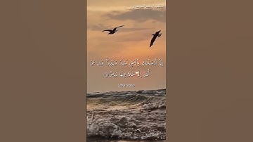 سورة فاطر من آية 22  إلى آية 26 بصوت الشيخ ياسر الدوسري♥♥