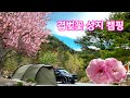 4K 차박 캠핑 브이로그 / 벚꽃 캠핑 / 전세 캠핑 / 트래버스 / 브이하우스L / 캠핑 요리 / Camping