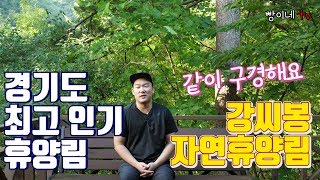 경기도 최고 인기 휴양림 강씨봉 자연휴양림 가보셨나요?…