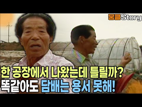 동생의 잔소리가 싫지만은 않다?! 언제나 바늘과 실처럼~ 쌍둥이형제 [KBS 20100709 방송]