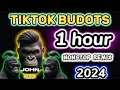 🔥NEW 2024🔥 | NONSTOP BUDOTS REMIX | 1 HOUR | DISCO SA PINAS