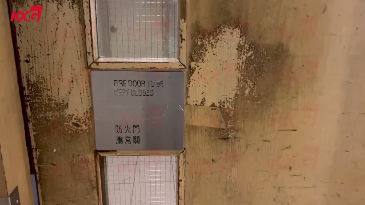 Kunxing Glass ---- Wire Mesh Fire Door Glass