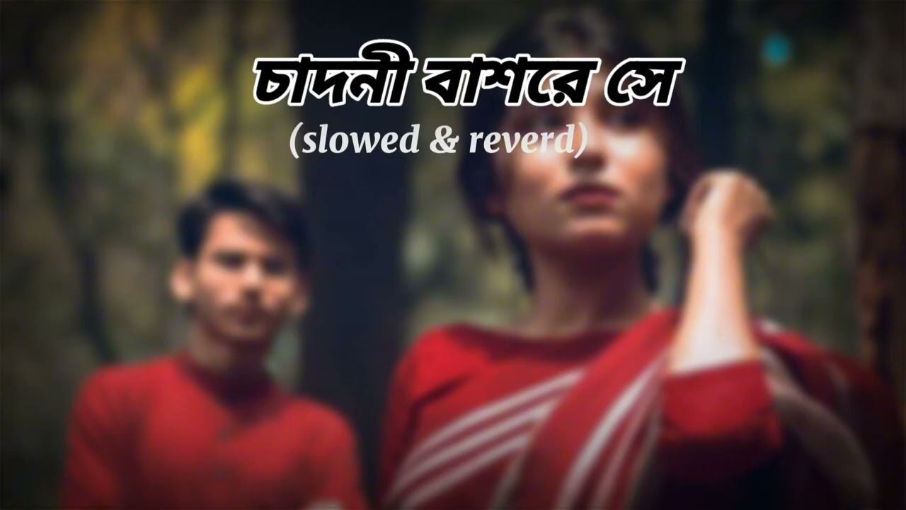 চাদনী বাশরে সে (slowed & reverd) Song& Bangla music