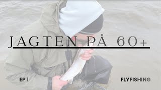 Jagten Pa 60