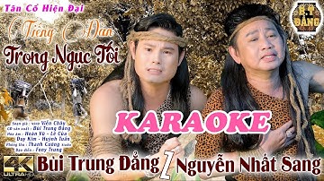 KARAOKE / TIẾNG ĐÀN TRONG NGỤC TỐI / BÙI TRUNG ĐẲNG - NGUYỄN NHẤT SANG