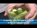 Le gombo, plus fort que le Vi@gr@ Nouvelles, et fait un vi@gr@ naturel -...