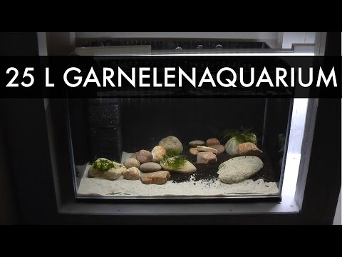 25 Liter Garnelenquarium einrichten | Setup of my 6 gallons shrimp aquarium