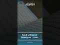 Allah Will Never Leave You Alone #allah #trustonallah #islamicstatus #viralshorts