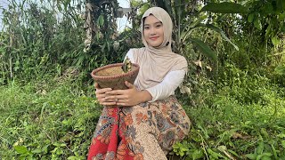 WOOW...SURPRISING‼️NENG MILAH, A VILLAGE GIRL, WAS FORCED TO QUIT COLLEGE BECAUSE OF THIS...?