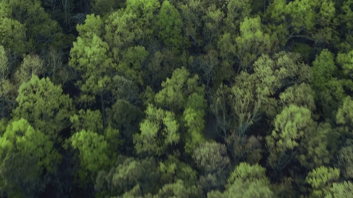 H 265 good test mbps