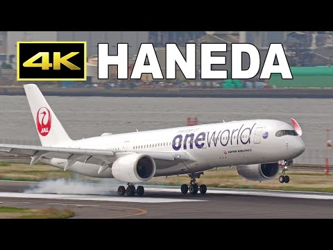JAL 日本航空 エアバス A350-900 one world ワンワールド 1200px-JAL_Airbus_A350-