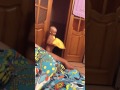 Танцор-диско