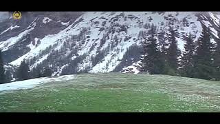 Mayil Thogai Alaithal - Ragasiya Police