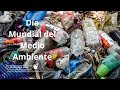 En el Día Mundial del Medio Ambiente el país espera por las autoridades