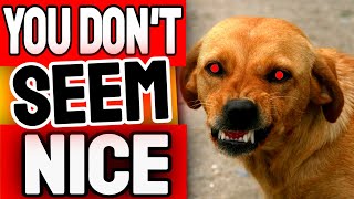 10 Ways Science Confirms Dogs Can Recognize A Bad Person 🤯
