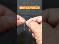簡単強力!【エダスの結び方】素早く結べる!サビキ仕掛け #anglerghost #釣り #エダスの結び方 #fishing#ノットは締めが鍵を握ります #fishing#Shorts動画