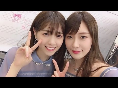 乃木坂46 非売品 いっぱいセット 白石麻衣 西野七瀬 与田 山下美月 高山一実 71wCcmZkGGL._AC_SY200_QL15_.jpg