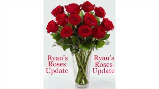 Ryan’s Roses with Follow-Up Included: Vanessa