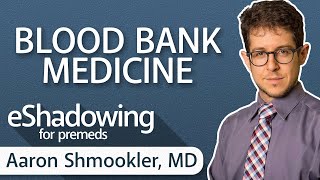 What Is Blood Bank Medicine? With Dr. Aaron Shmookler | eShadowing Ep. 14